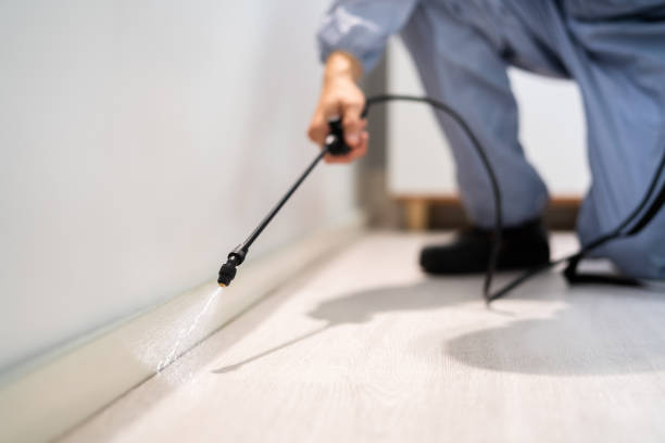 Professional exterminator conducting IPM assessment in Canyon Lake
